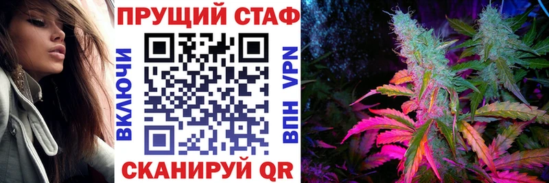 МЕФ Салехард