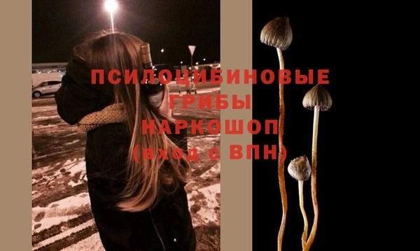 кокаин Заводоуковск