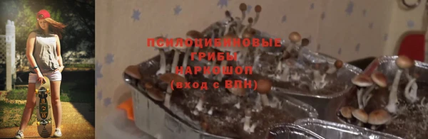 сатива Покров