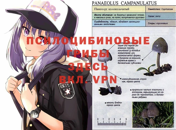 кокаин перу Чердынь