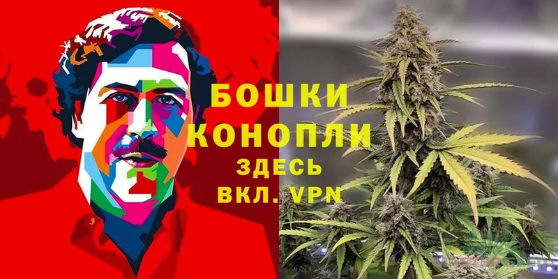 Марихуана THC 21%  ОМГ ОМГ как войти  Салехард 